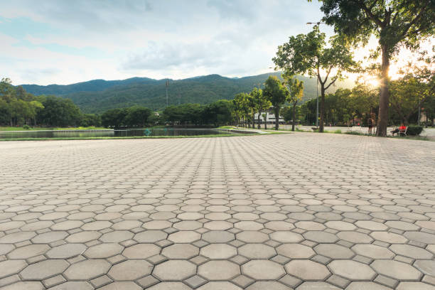 Best Local Driveway Pavers  in Jacksonville, FL